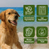 2 oz Sit Stay Forever Organic Sunscreen for Dogs and Cats, Dog Sunscreen, Dog Beach Essentials, Pet Sunscreen Cream