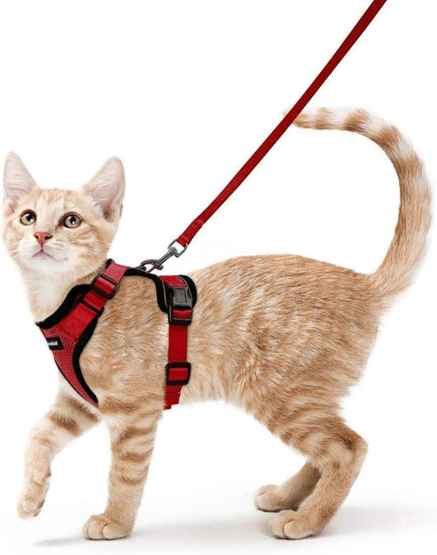 rabbitgoo Cat Harness and Leash - Soft Adjustable Vest for Walking, Escape Proof, Breathable Reflective Strips (Red, S)