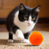 DJRDym 20 Pack 1.8 Inch Interactive Pet Play Pompoms - Soft, Non-Toxic Toy Balls for Cats & Dogs, Lightweight Balls