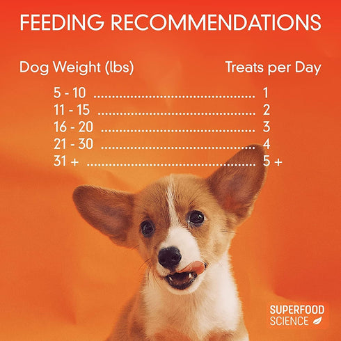 5 oz Organic Chicken Dog Treats, Low-Calorie Training Treats, Grain-Free, Semi-Soft Natural Jerky with Sweet Potato