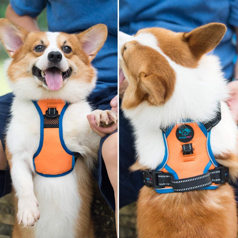 PHOEPET 2019 No Pull Dog Harness for Small Dogs, Reflective Adjustable Vest with Handle, Orange (S)