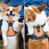 PHOEPET 2019 No Pull Dog Harness for Small Dogs, Reflective Adjustable Vest with Handle, Orange (S)