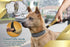 SparklyPets Hands Free Dog Leash for Medium and Large Dogs, Professional Harness for Training and Jogging (Premium Gold