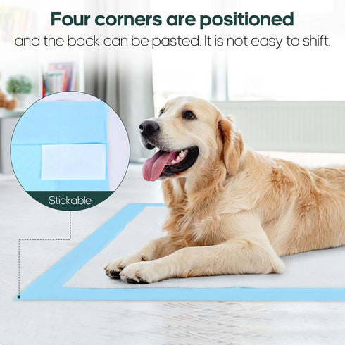 Yeelooyebeen 35x31 Inch 6 30 Count Puppy Pads Extra Large Layer Quick Absorb Leakproof for Incontinence for Dogs Cats