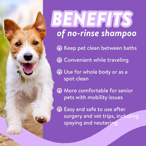 Bodhi Dog Waterless Shampoo - Natural Dry Shampoo for Dogs & Cats - Lavender (8 Fl Oz) - No Rinse Required