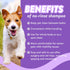 Bodhi Dog Waterless Shampoo - Natural Dry Shampoo for Dogs & Cats - Lavender (8 Fl Oz) - No Rinse Required