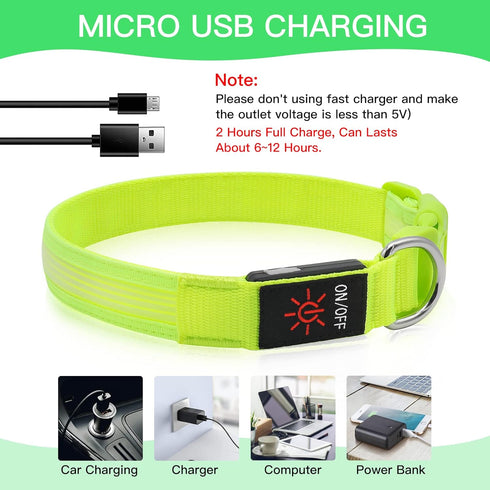 YFbrite Light Up Dog Collar, Full Adjustable Rechargeable LED Safety Glowing Collar for Night (Design 2-Green, Large)