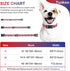 Adjustable American Flag Dog Collar for Small Medium Large Pets, 4th of July Patriotic Design, Strong Plastic Buckle