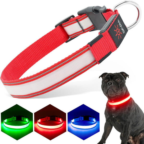 LED Light Up Dog Collars, Micro USB Rechargeable Waterproof, Adjustable Glow Dark Collar for Night Walking for Small