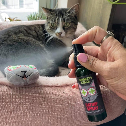 Smokey's Stash Catnip Spray for Cats, 2 Ounce Fresh Premium Maximum Potency nip Treat