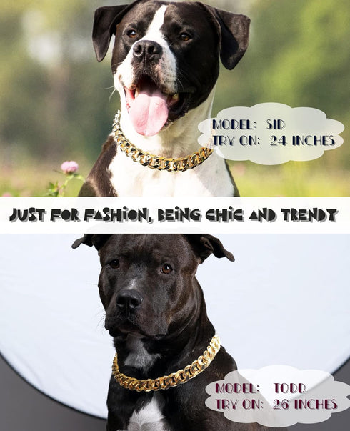 Cuban Link Dog Collar - Light Metal Gold Chain Necklace, 3/4 inch Wide, 20 inches, Cute Fashion for Frenchie, Bully,