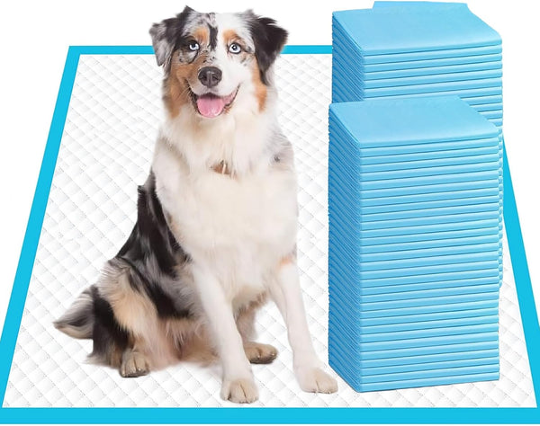 Aurora Pet Ultra-Absorbent Puppy Pee Pads XL 24x35 Inch, Leak-Proof & Quick-Dry