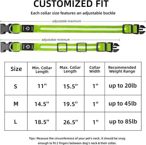 PetIsay Light Up Dog Collar - High Visibility Nylon, USB C Rechargeable & Waterproof LED for Night Walking, Medium Green