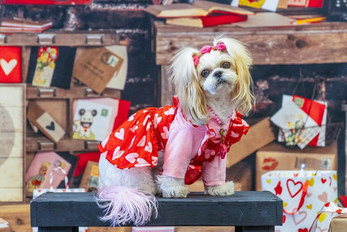 Fitwarm Valentines Day Sweet Heart Dog Dress, Dog Holiday Outfit, Dog Clothes for Small Dogs Girl, Pet Cat Apparel, Red, Pink, Small