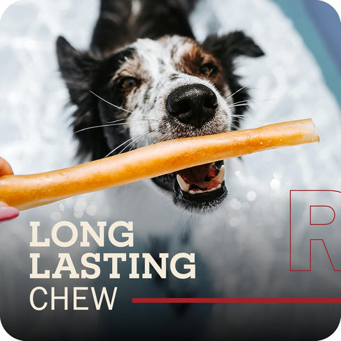 12" 3 Pack Redbarn Pet Products All-Natural Large Beef Collagen Sticks for Dogs - Long Lasting Low-Odor Alternative