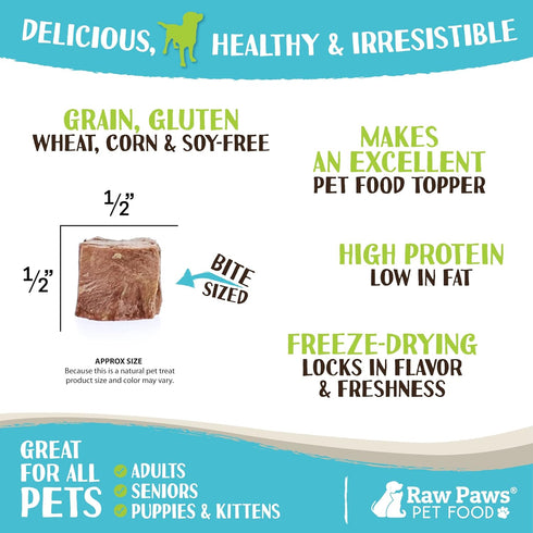 Raw Paws Chicken Hearts Treats, 4 oz - All Natural Freeze Dried Dog Cat Food Topper, High Protein, Grain Free