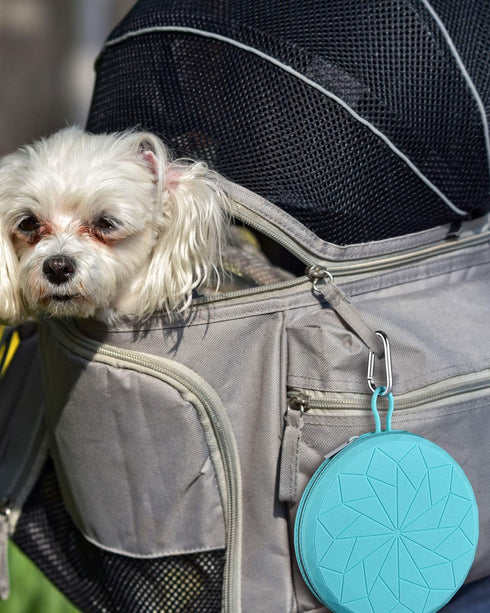 Collapsible Silicone Twin Dog Bowls with Zipper Case, 2 in 1 Portable Travel Dog Bowls