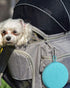 Collapsible Silicone Twin Dog Bowls with Zipper Case, 2 in 1 Portable Travel Dog Bowls