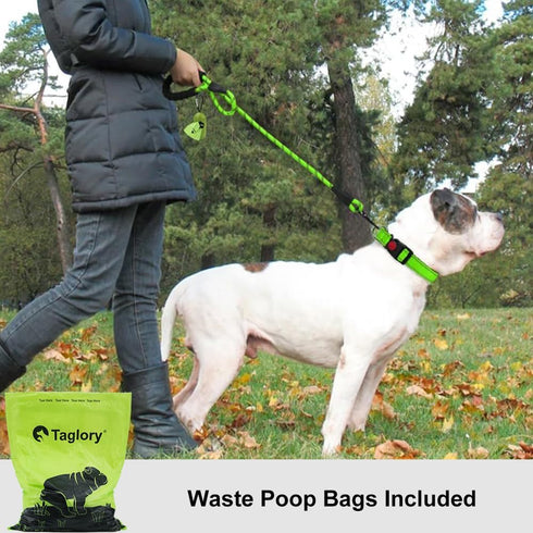 Taglory Rope Dog Leash 6 FT with Padded Handle, Highly Reflective Threads for Medium Large Dogs, 1/2 inch, Green