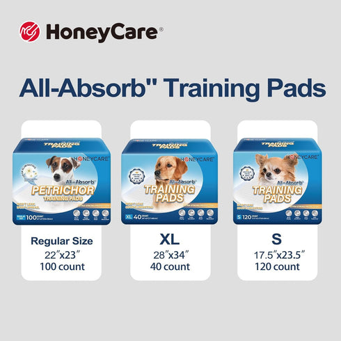 HONEY CARE All-Absorb Dog and Puppy Training Pads, Large 22" x 23", 100 Count, Blue