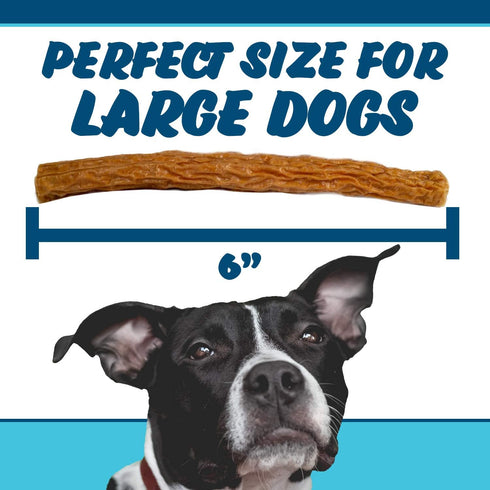 Texas Pet Company Chicken Jerky Crunchy Bars Dog Treats - Made in The USA, 15 Bars, Natural No Additives