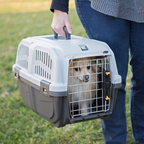 MidWest Homes for Pets Skudo Plastic Carrier, 22-Inch, for XS Dog Breeds up to 12 Pounds