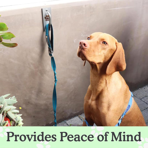 Canine Hitch, Secure Dog Leash Wall Hook with Stainless Steel & ABS Mounting Plate for Efficient Leash Management