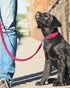 6ft Dog Leash for Small Medium Large Dogs - One-Sided Reflective Nylon with Padded Handle - Hot Pink