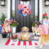 Vehomy 4th of July Dog Toys, USA Shape Chewing Toys, Cotton Rope Toys for Small Medium Dogs, Patriotic Interactive Toy