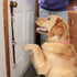 Leather Dog Doorbells for Door Knob, Adjustable Brass Potty Training Bells for Puppy to Go Outside, Easy Dog Door Bell