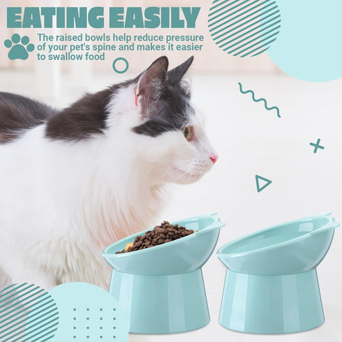 Zhehao 2 Pieces Plastic Raised Bowl Set, Tilted Elevated Cat Food and Water Bowls, Anti Vomit Dishes for Cats and Small