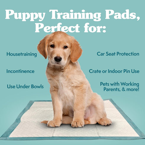 Simple Solution Training Puppy Pads - 100 Count, 6 Layer Dog Pee Pads, Absorbs Up to 6 Cups, 23x24in