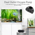 AQQA 3.5W Aquarium Air Pump, Dual Outlet Oxygen Pump with 2 Air Stone, Adjustable Air Valve for 160 Gallon Fish Tank