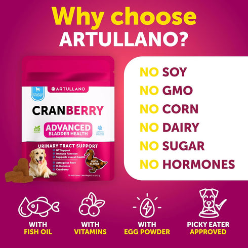 70 Dog UT Treats - Cranberry Chews for Dogs - Urinary Tract & Bladder Support Supplement with Natural Cranberry Extract