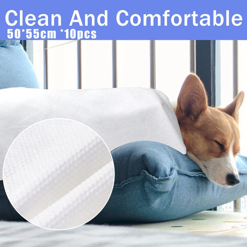 Disposable Pet Bath Towel - 10 PCS Portable Grooming Towels, 19.6 x 21.6 inch, Absorbent for Medium Dogs