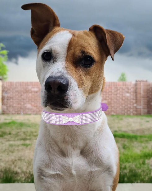 Bling Dog Collar for Small Medium Large Dogs, Crown Rhinestone Collars for Girl and Boy Dogs, Adjustable Leather Suede