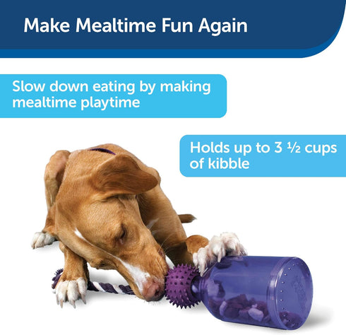 PetSafe Busy Buddy Tug-A-Jug Meal-Dispensing Dog Toy Use with Kibble or Treats