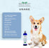 100% (12oz bottle),FG00440 Richards Organics Flea and Tick Shampoo for Dogs All-Natural Actives Kills Fleas, Ticks