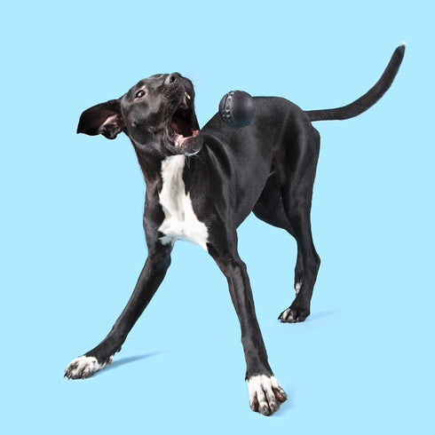 Barkbox Super Chewer Tough Dog Chew Toys for Aggressive Chewers, Treat Dispensing (Comet-Large)