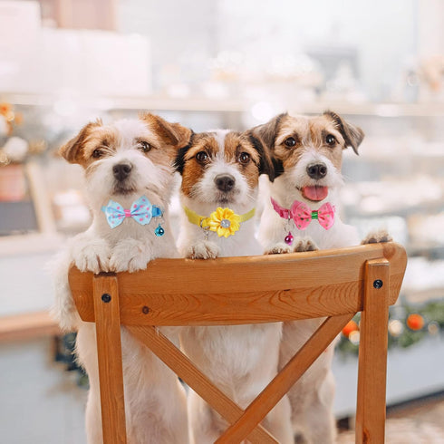 22 Pack Dog Bow Tie Flower Collar, Adjustable Bowtie Dog Collar with Dot Print for Medium Small Dog Cat Puppy (Cute)