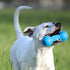 Nerf Dog Chewable Barbell Dog Toy - Lightweight, Durable and Water Resistant, 7.5 Inches, for Medium/Large Breeds, Two