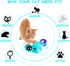 GBSYU Interactive Windmill Cat Toys with Catnip : Cat Toys for Indoor Cats Funny Kitten Toys with LED Light Ball