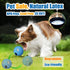 Squeaky Dog Toys 6pcs for Medium Dogs, Soft Latex Balls, Smile Dog Toys, Round Balls for Corgi, Border Collie