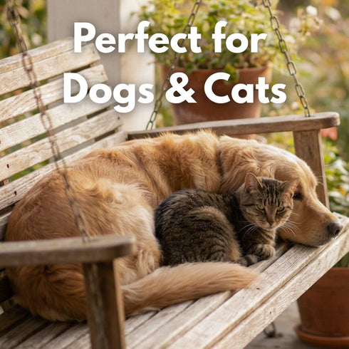 Hook Point Fisheries 3, Freeze Dried Sockeye Salmon Pet Treats for Dogs & Cats, Human Grade, Fisherman Direct, Premium