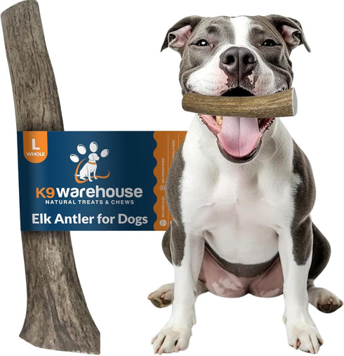 Natural Elk Antlers for Dogs, Premium Grade Dog Antler Chews, Long-Lasting Whole Deer Antlers for Medium and Large Dogs