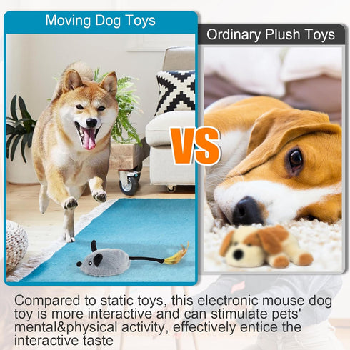 Mity rain Interactive Dog Toys, Fake Mouse Moving Toy with Automatic Sensor, Realistic Sound for Dogs & Cats