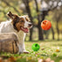 ZHIERDE Treat Dispensing Dog Toys - Interactive Cognitive Dog Treat Toy,Puzzle Ball for Puppies & Small Dogs,Promotes
