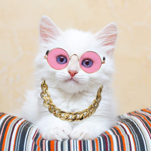 7 Pieces Sunglasses for Cats and Dogs, Gold Chain Costume, Funny Cute Retro Pet Cosplay