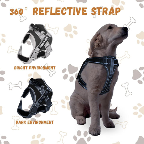 Heavy Duty No-Pull Dog Harness and Leash Set for Large Dogs, Reflective Adjustable Training Vest (Black, Size L)
