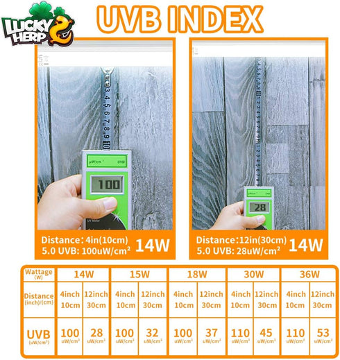 LUCKY HERP 15inch 14W T8 UVB 10.0 Reptile Light, UVA UVB Bulb, Fluorescent Lamp for Reptiles and Amphibians